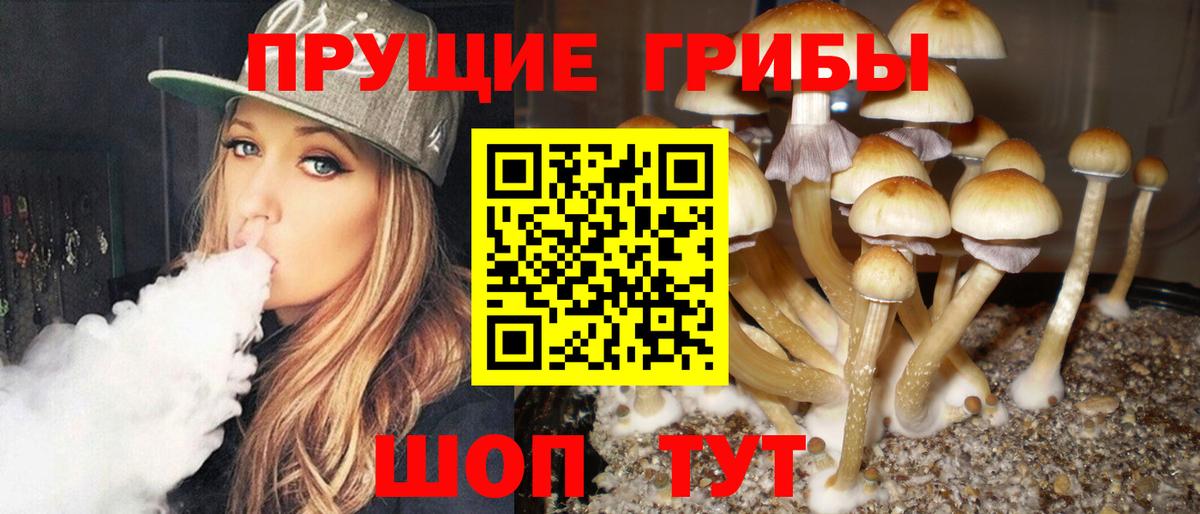 Псилоцибиновые грибы Magic Shrooms Кыштым