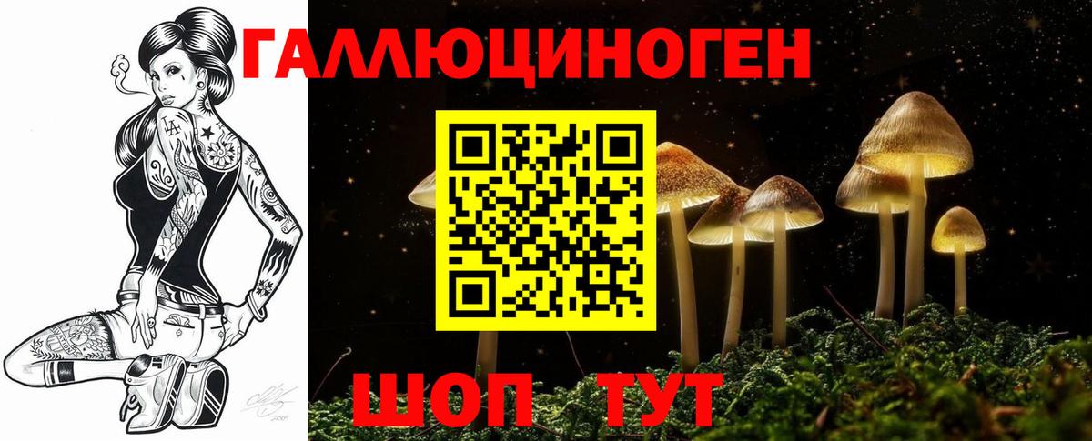 Галлюциногенные грибы MAGIC MUSHROOMS  Вход с VPN  закладка  Кыштым 